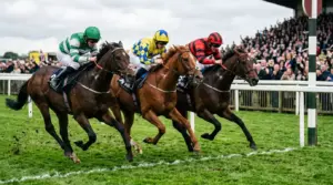 Exacta, Trifecta and Superfecta Bets in UK Horse Racing Explained
