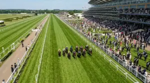 World Pool Betting: How International Pools Create Exotic Value
